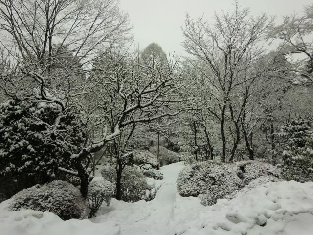 Umeyashiki Ryokan Nikko Exterior foto